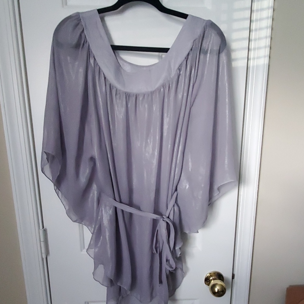 Ashley Stewart Sheer Blouse